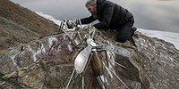 Смекалка для внутреннего потребления