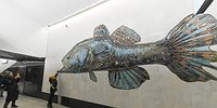 Гигантские рыбы, метростроевцы и ковер-самолет
