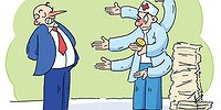 Можно ли назвать мышку кошкой, а фельдшера - врачом